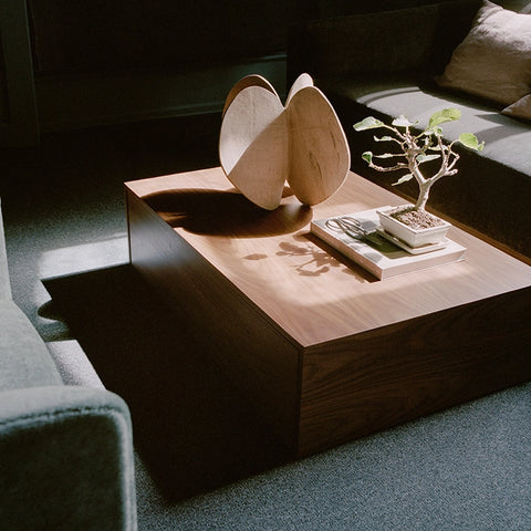 Mass Coffee Table High w. Drawer