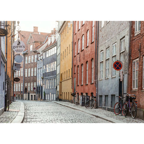 Cereal City Guide: Copenhagen Book