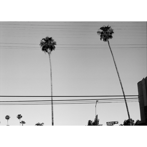 Cereal City Guide: Los Angeles Book