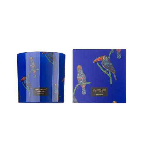 Toucan Rain Forest Candle